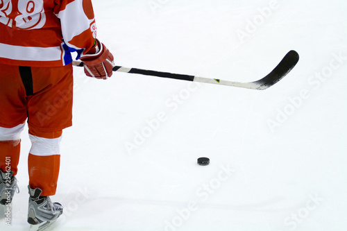 Canvas Print hockey player