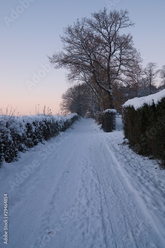snowy sunset