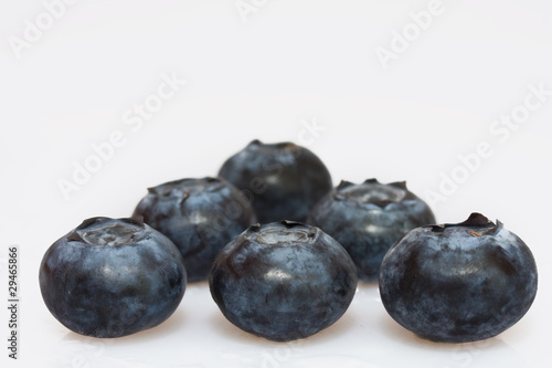 Blueberries in rows on a white background