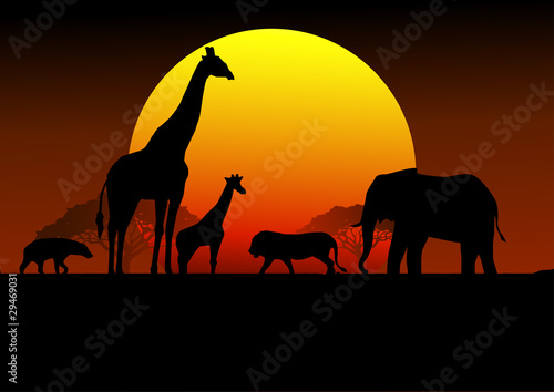 Africa sunset