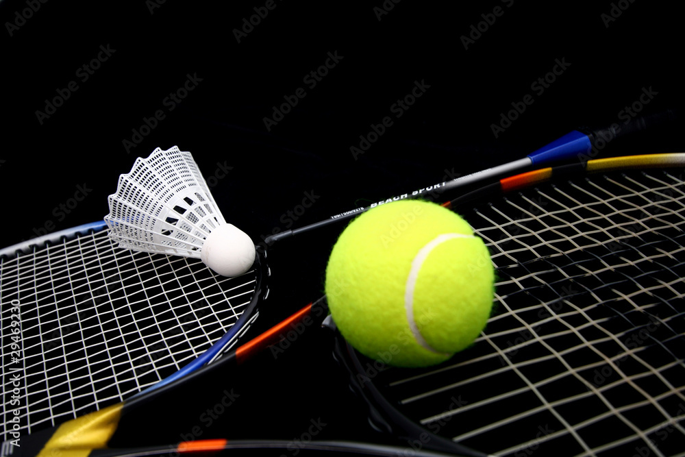 sport - tennis and badmington
