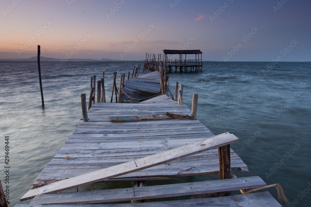 Fototapeta premium Carrasqueira