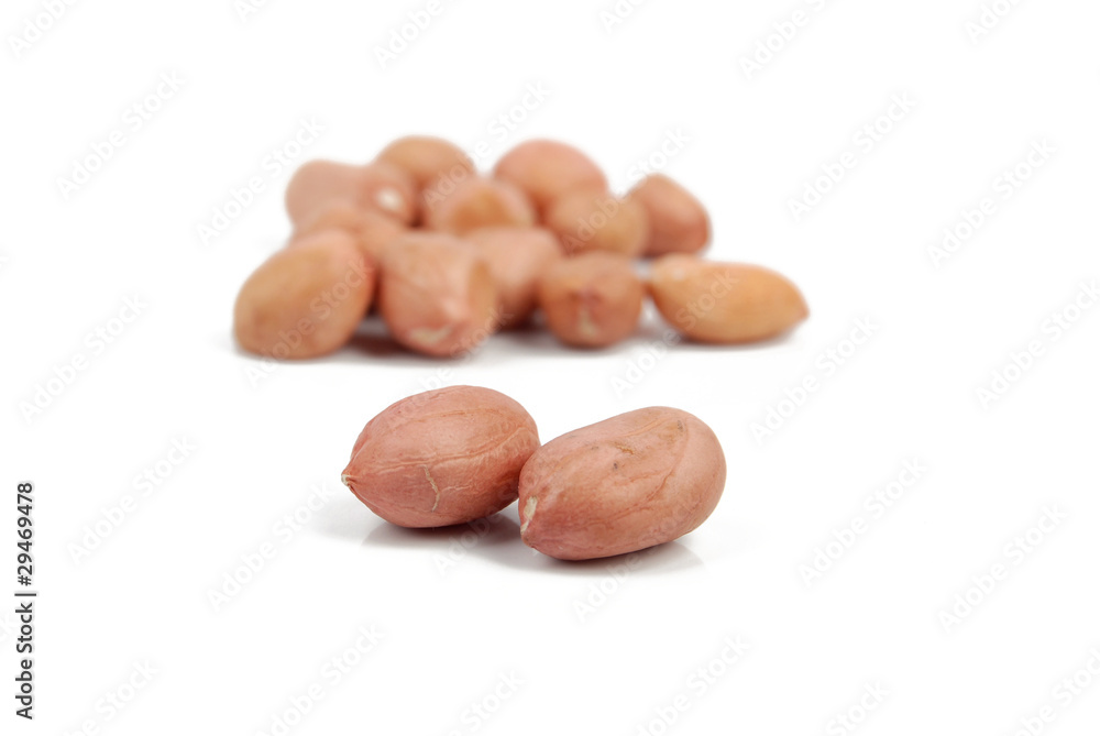 Obraz premium Peanut