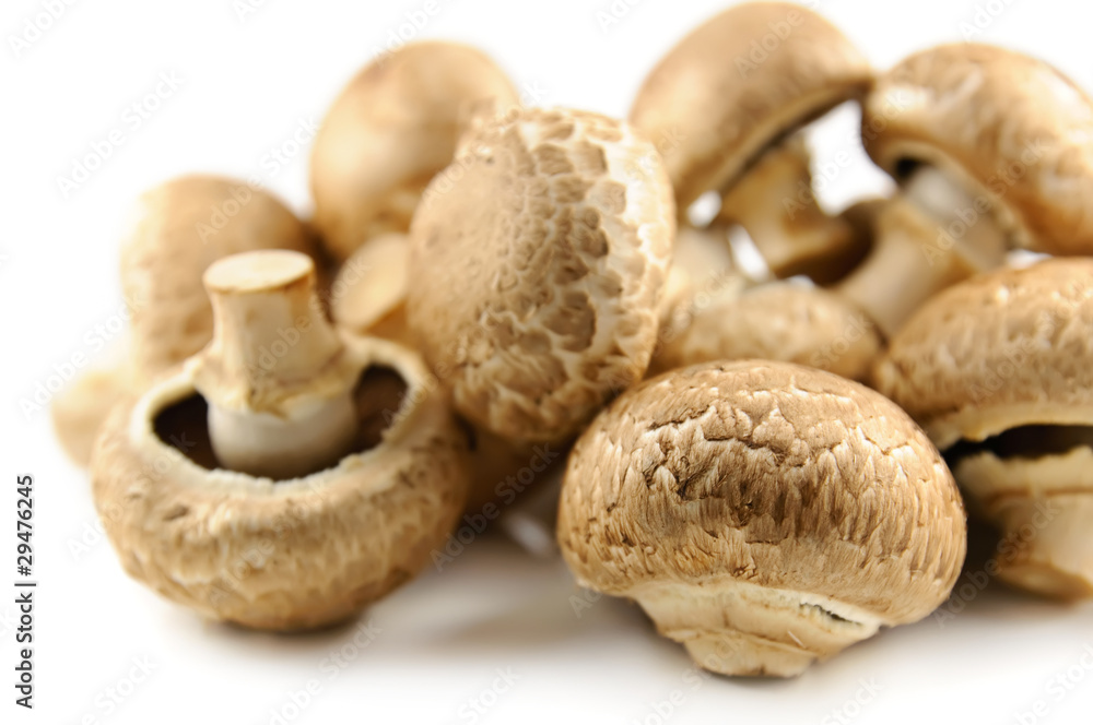 champignons on white background