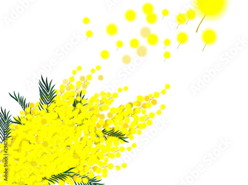 Mimosa laterale