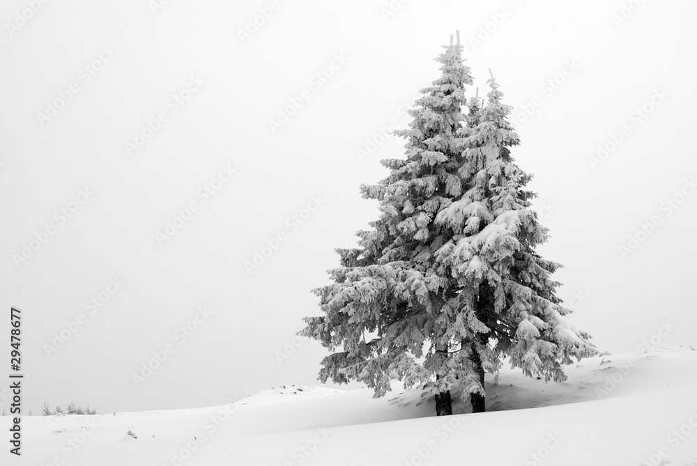 Fototapeta premium Carpathians, Romania