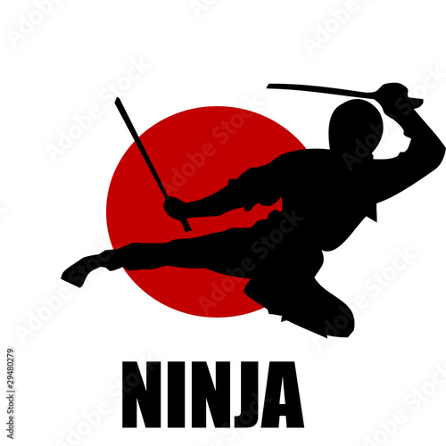 Guerrero ninja