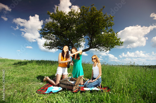 girlfriends on picnic © yellowj