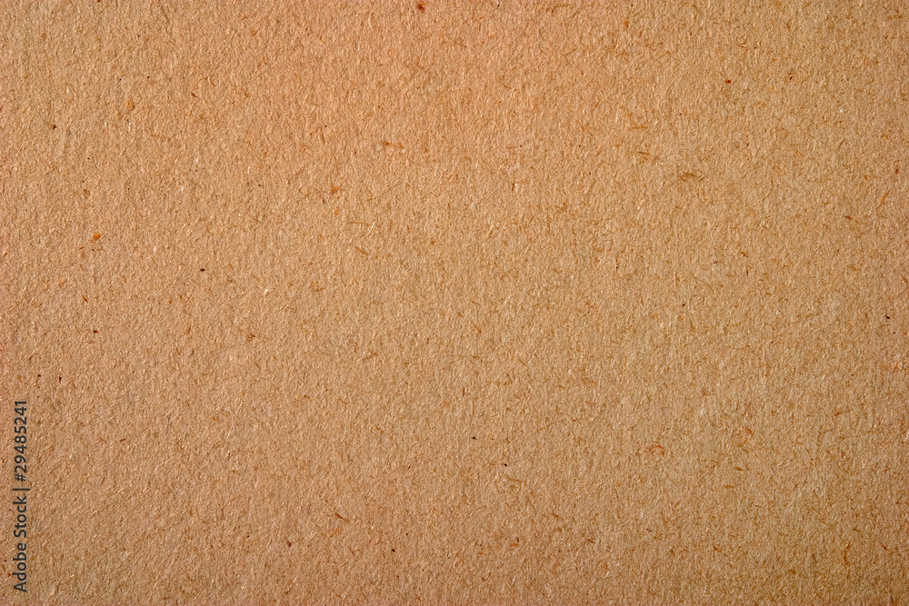 Fototapeta premium Natural background (wood or paper)