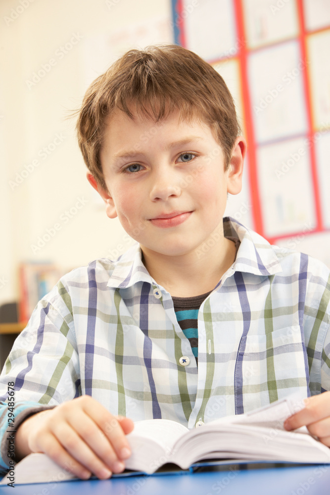 Schoolboy Studying Textbook In Classroom Schoolboy Studying Textbook In Classroom