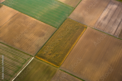 Fotografie aerial of fields in indian summer colors