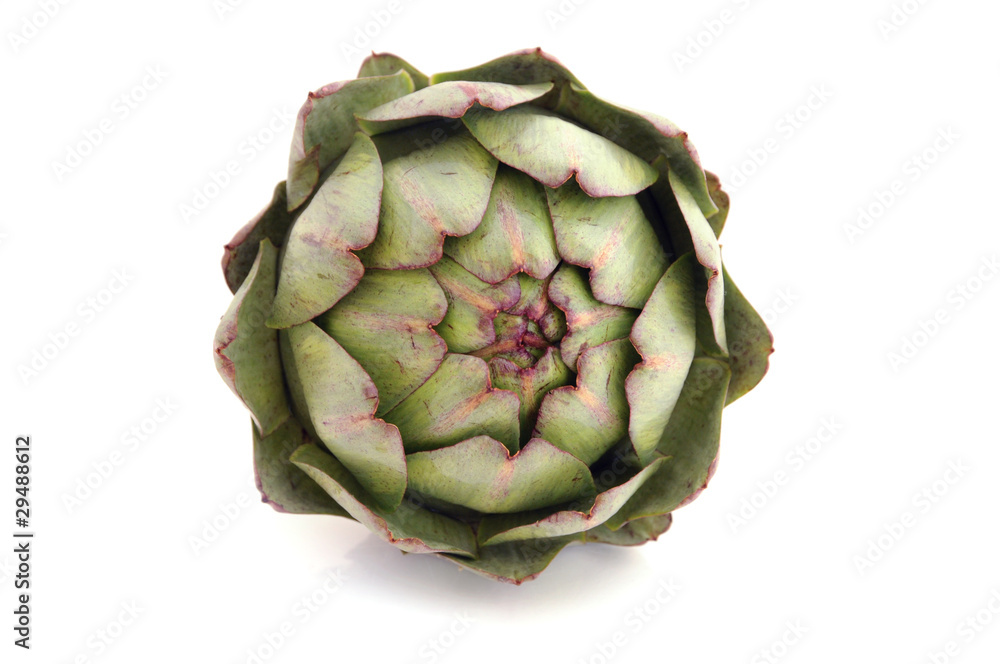 Obraz premium Artichaut