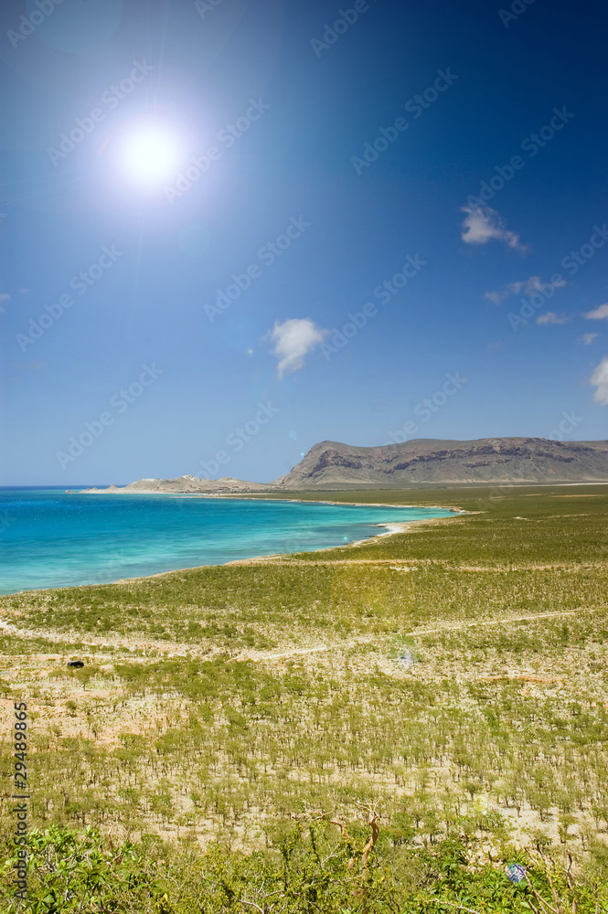 Tropical beach Tropical beach