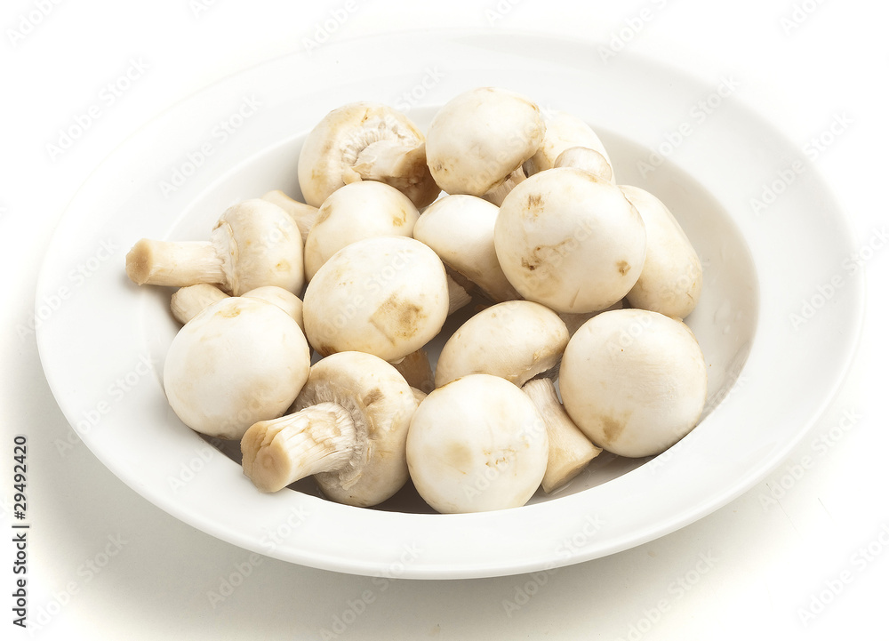 mushrooms mushrooms