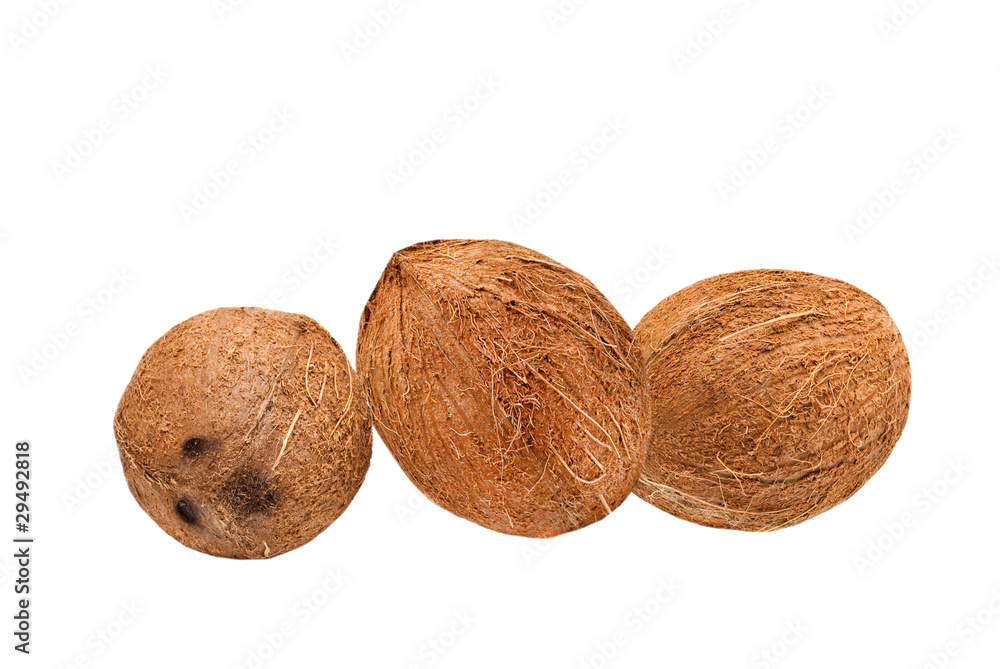 coconuts isolated on white background coconuts isolated on white background