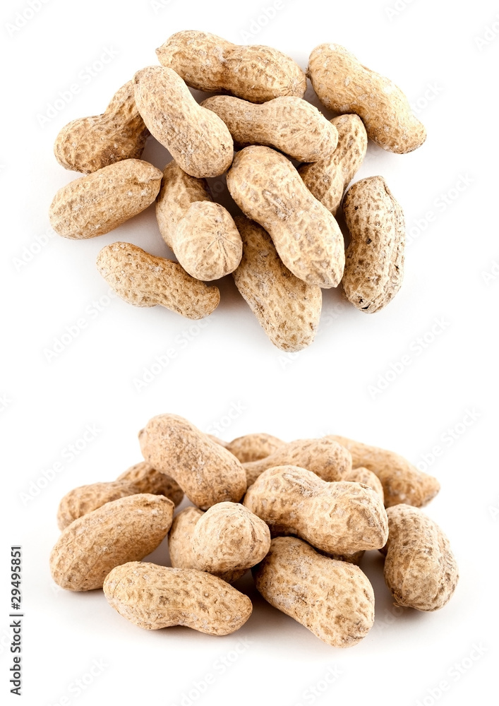 Peanut