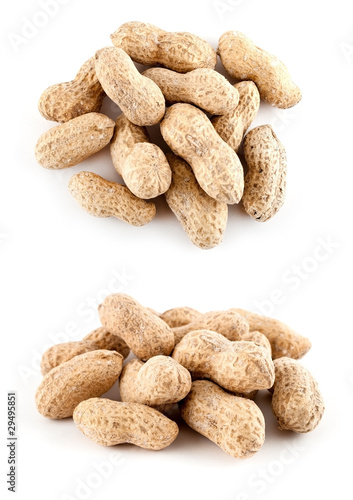 Obraz na płótnie Peanut w salonie