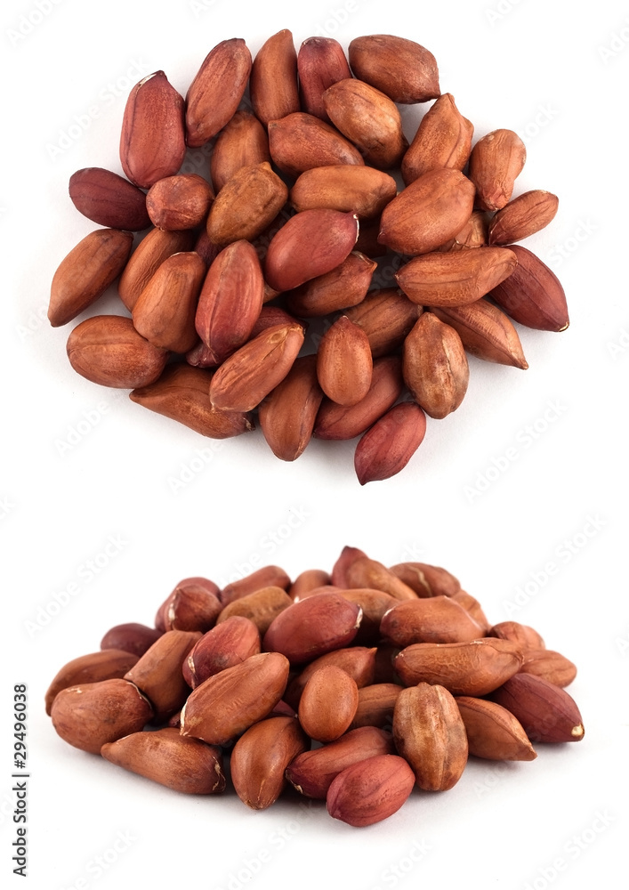 peanut,