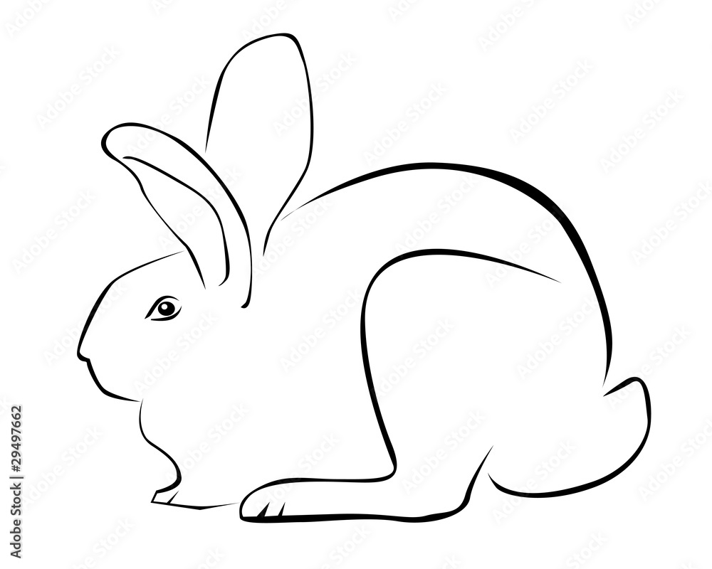 Obraz premium Tracing of rabbit