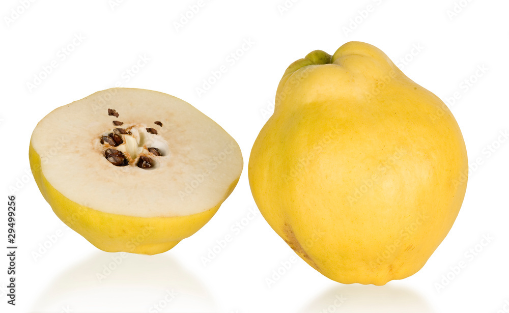 Quince and section