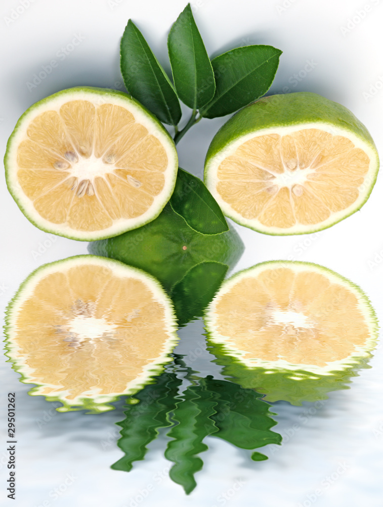 citron vert pour citron vert pour