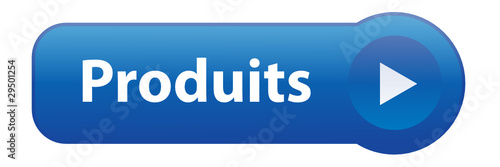 Bouton Web PRODUITS (recherche catalogue projets services prix)