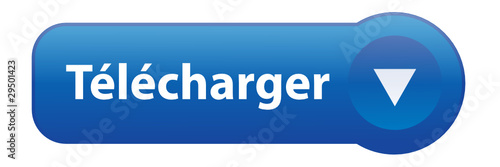 Bouton Web "TELECHARGER" (download télécharger téléchargement)