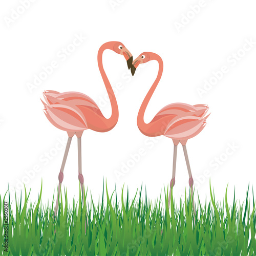 Two flamingo in love. Vector illustration