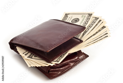purse with dollars