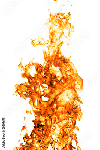 Fire flame isolated on white backgound