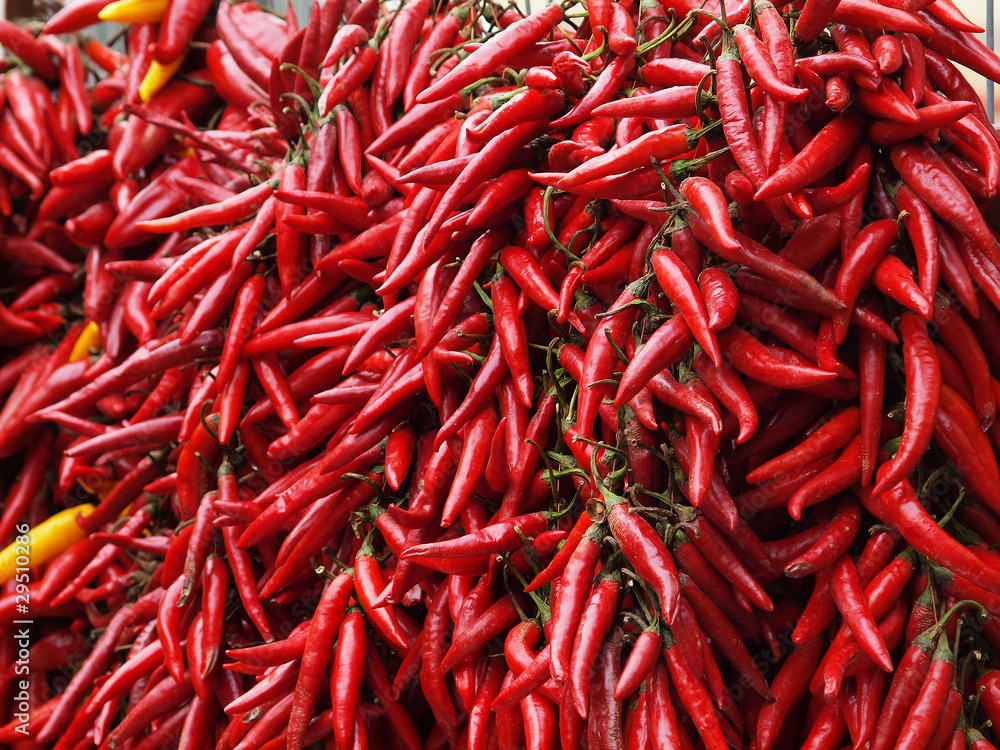 Fototapeta premium Paprika