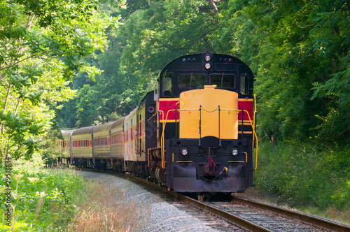 Scenic passenger train rounding a curve in a forest