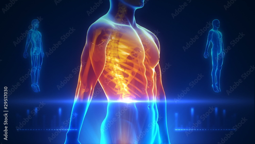 Whole human body medical interface Whole human body medical interface