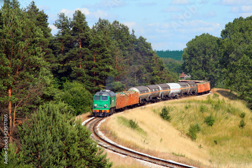 Freight train passing the forest