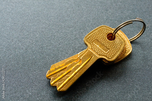 Tableau sur toile Bunch of keys isolated on grey
