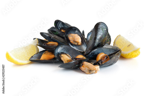 mussels with lemon isolated - cozze e limone