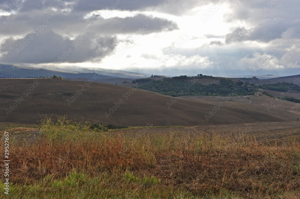Campagna toscana Campagna toscana