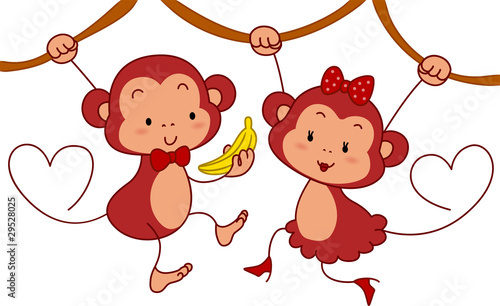 Monkey Couple