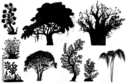 trees of Africa