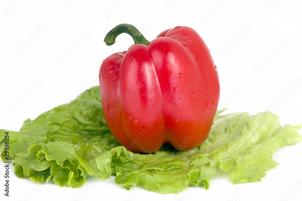 Red Bulgarian pepper on green salad Red Bulgarian pepper on green salad