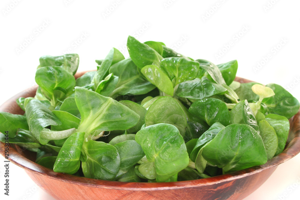 Feldsalat Feldsalat