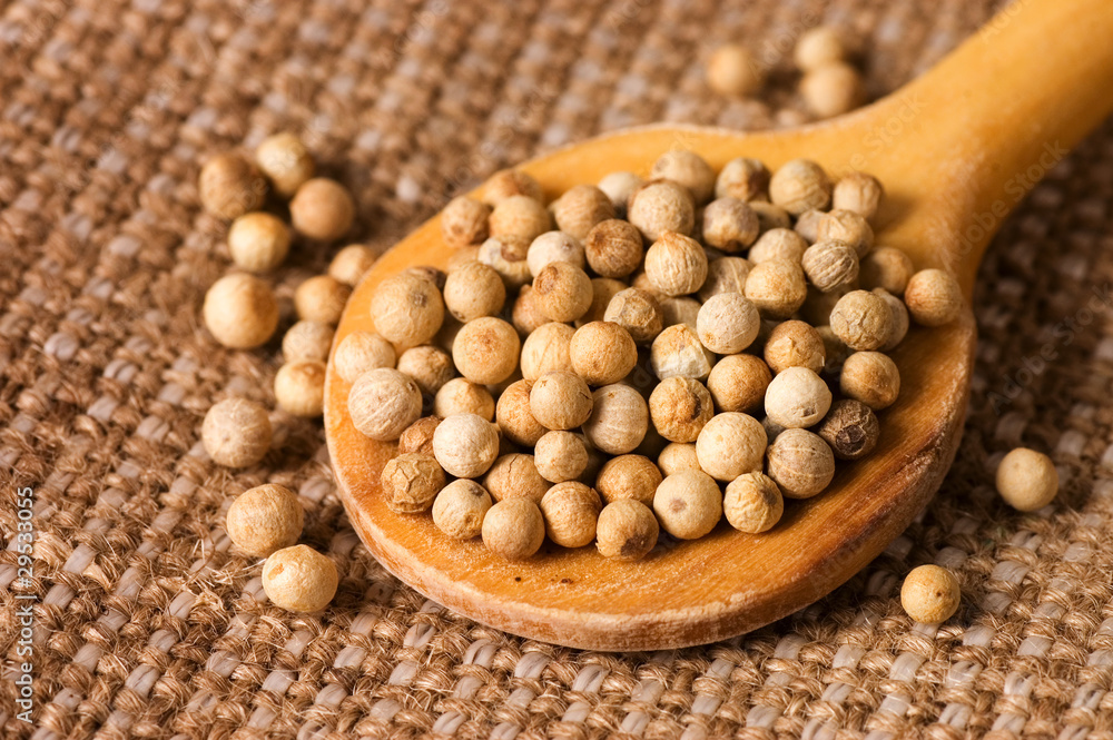 White Peppercorns on a wooden spoon White Peppercorns on a wooden spoon