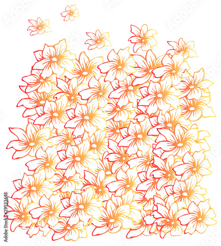 Flowers pattern