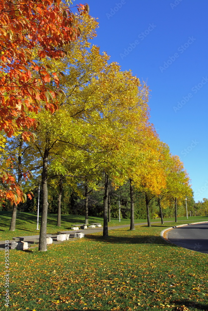 Naklejka premium Colors of Autumn