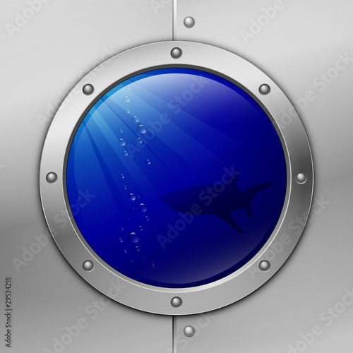 porthole. shark. vector illustration. eps10