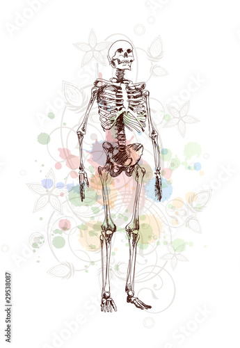 Skeleton sketch & floral calligraphy ornament