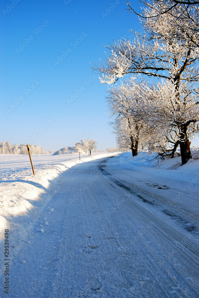 Obraz premium Winter road