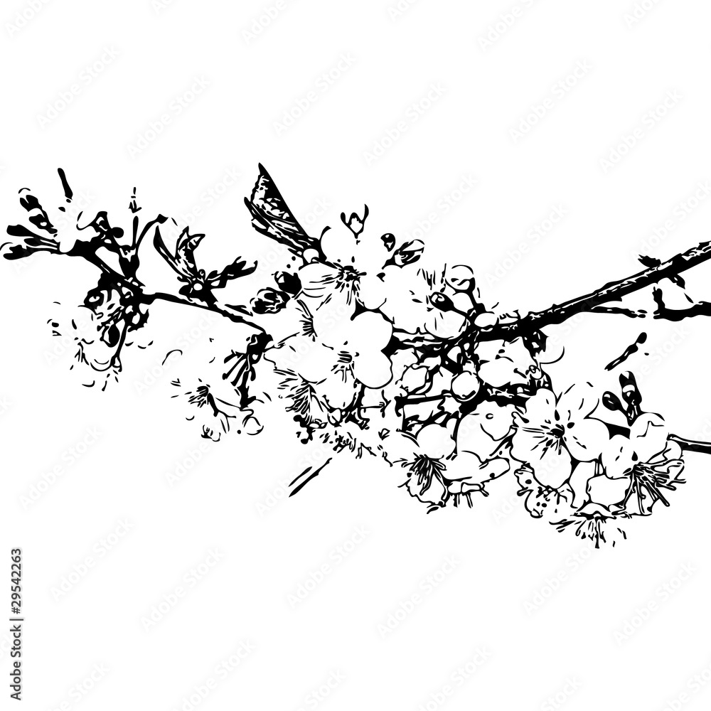 Naklejka premium sakura