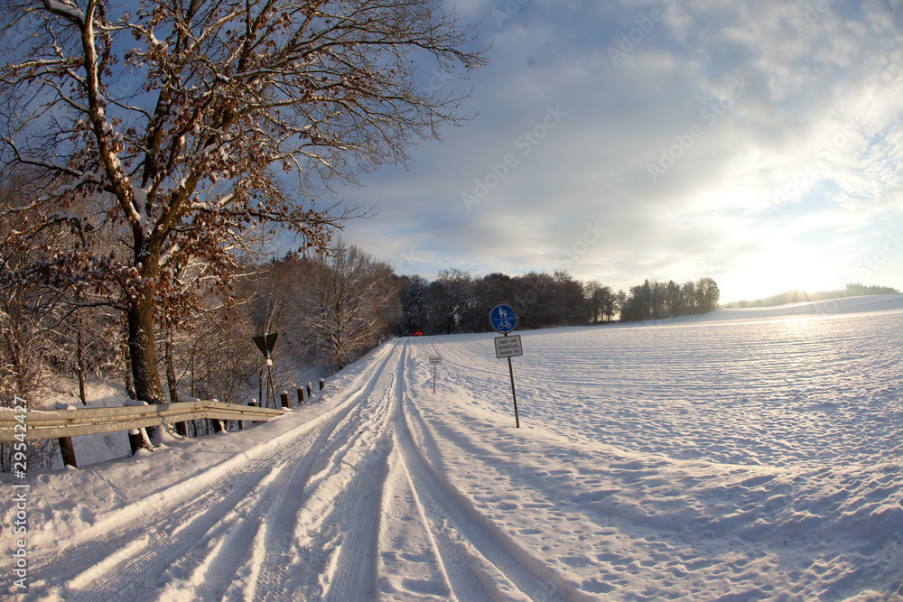 Obraz premium Feldweg im Winter