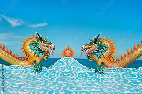 Beautiful dragons © LiliGraphie